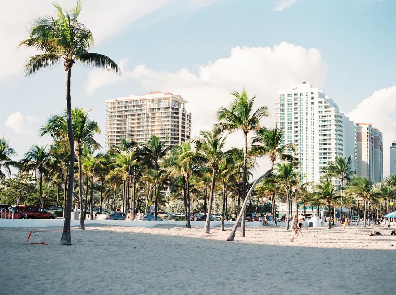 Miami waterfront, skyline, and palm trees